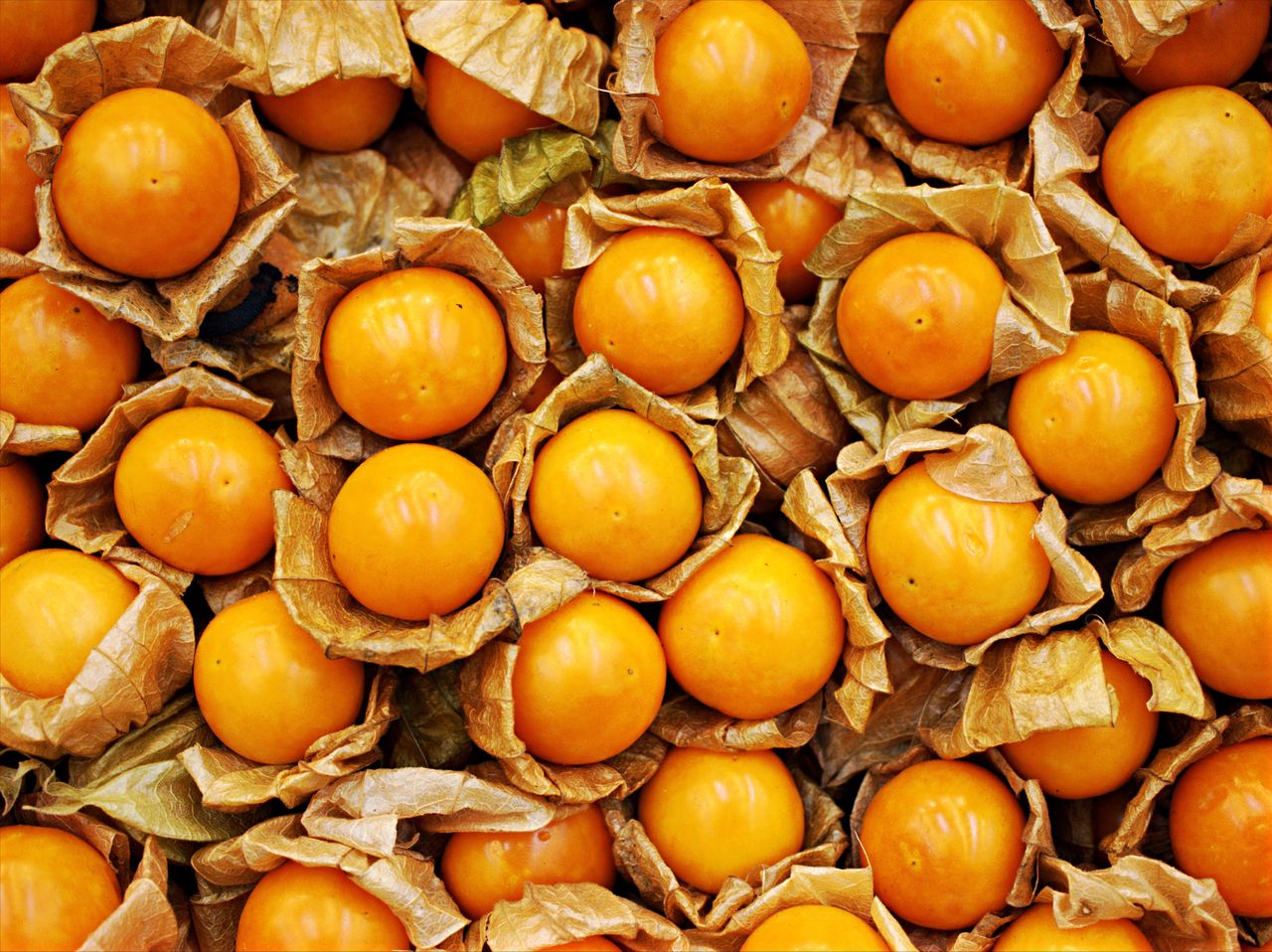 Why is it worth eating physalis? It has many health benefits.