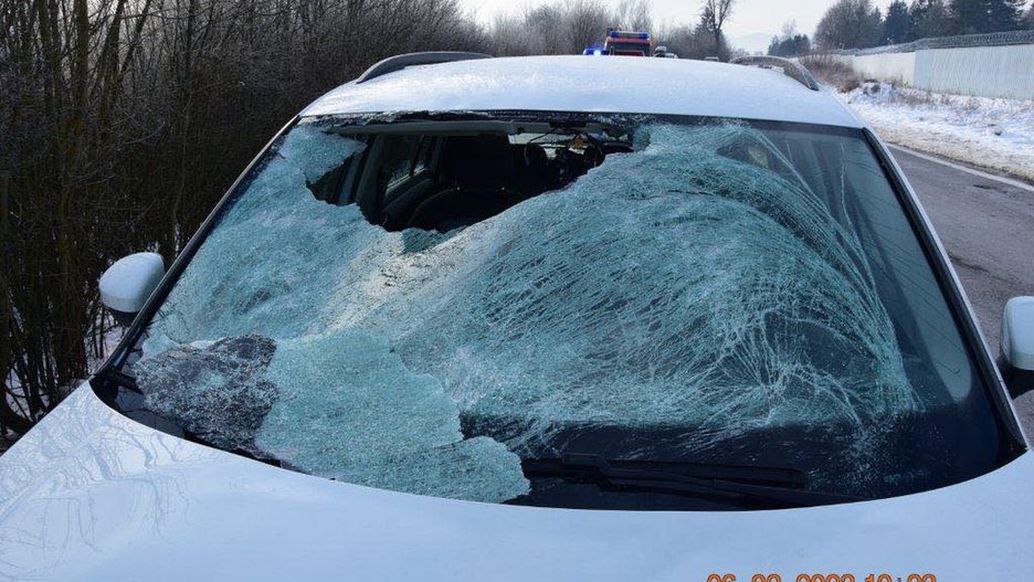 Ranny został 12-latek.