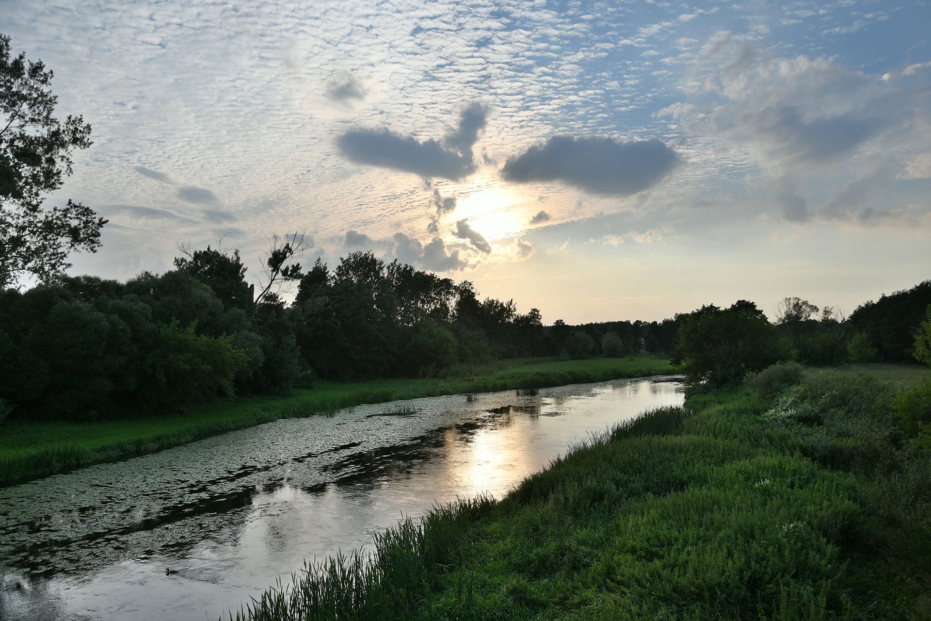 Nikon D7500 - przepustka do poważnej fotografii czy drogi gadżet? [test] 103
