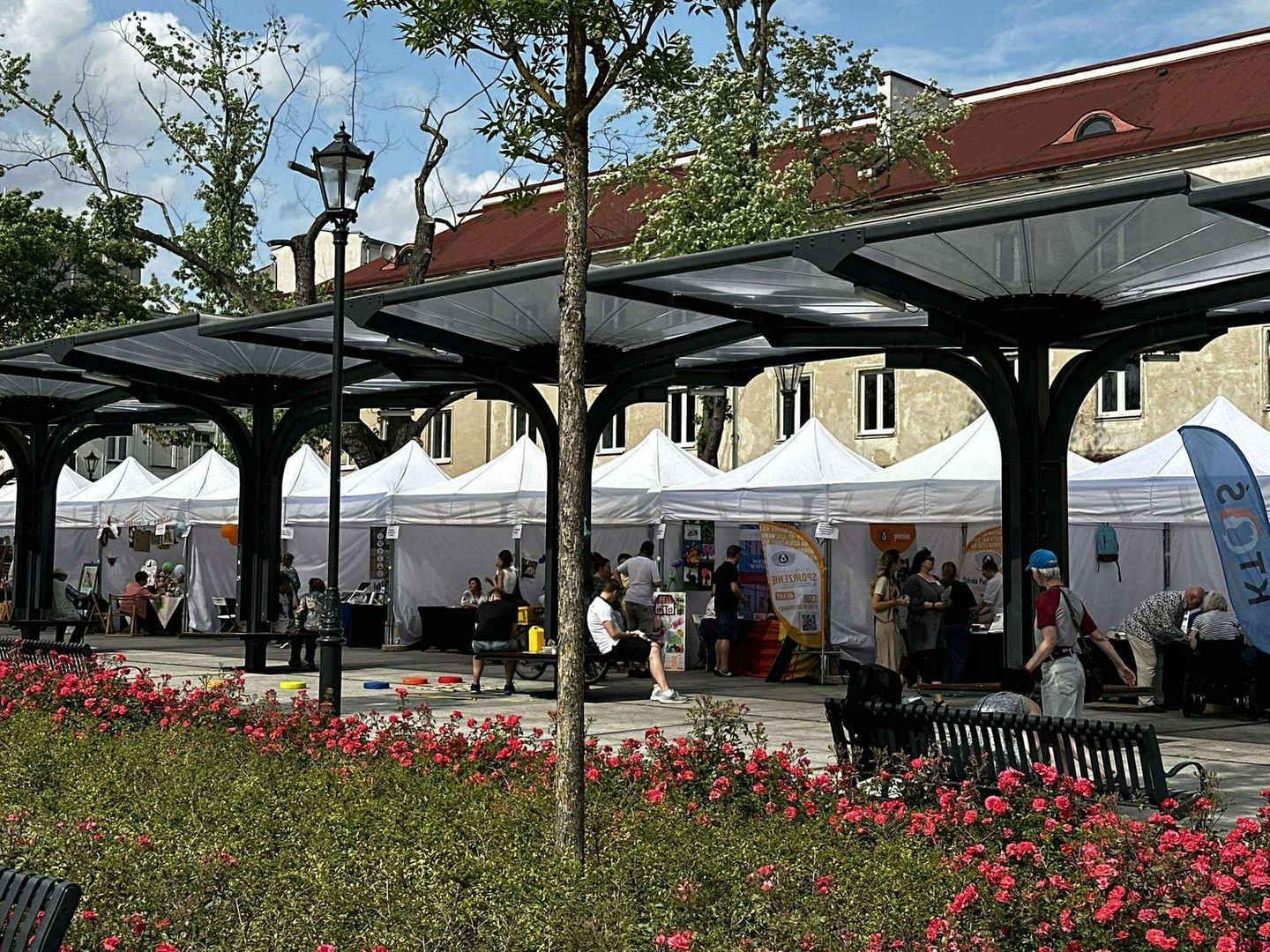 piknik wsparcia