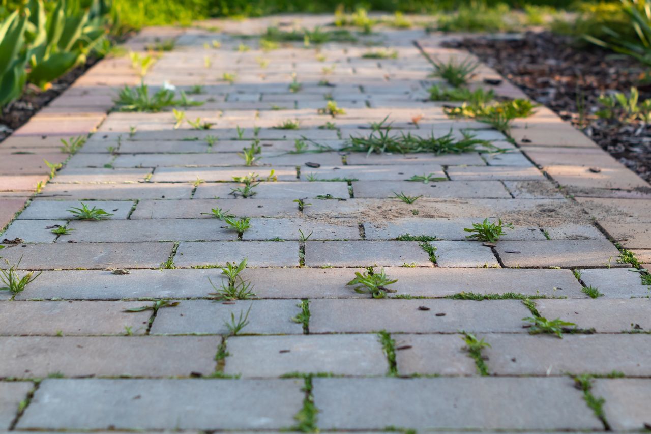 How to get rid of green residue from paving stones?