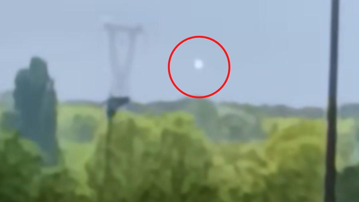 Zaskakująca obserwacja w woj. zachodniopomorskim. 