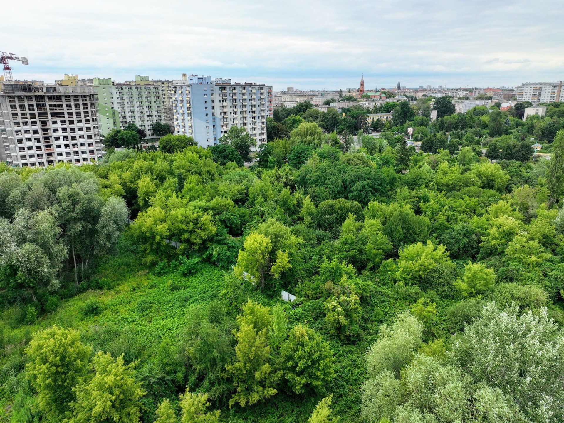 Na łazarzu powstanie nowy park? Tego chcą społecznicy i mieszkańcy.
