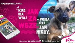 "Rozmawiaj jak zawsze. Pomagaj jak nigdy" w kampanii Viva Mobile