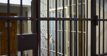 Ponad 250 martwych psów. Sąd zdecydował ws. właścicieli pseudohodowli