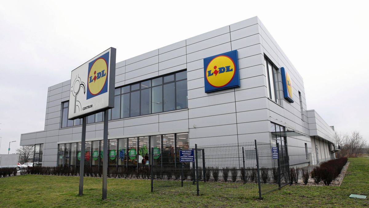 Jak wypada porównanie cen w Lidlu w Niemczech i w Polsce?