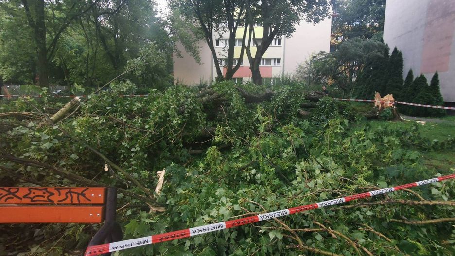 Warszawa. Drzewo złamane na skutek burzy