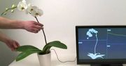 Botanicus Interacticus – roślina doniczkowa jako dotykowy kontroler [wideo]