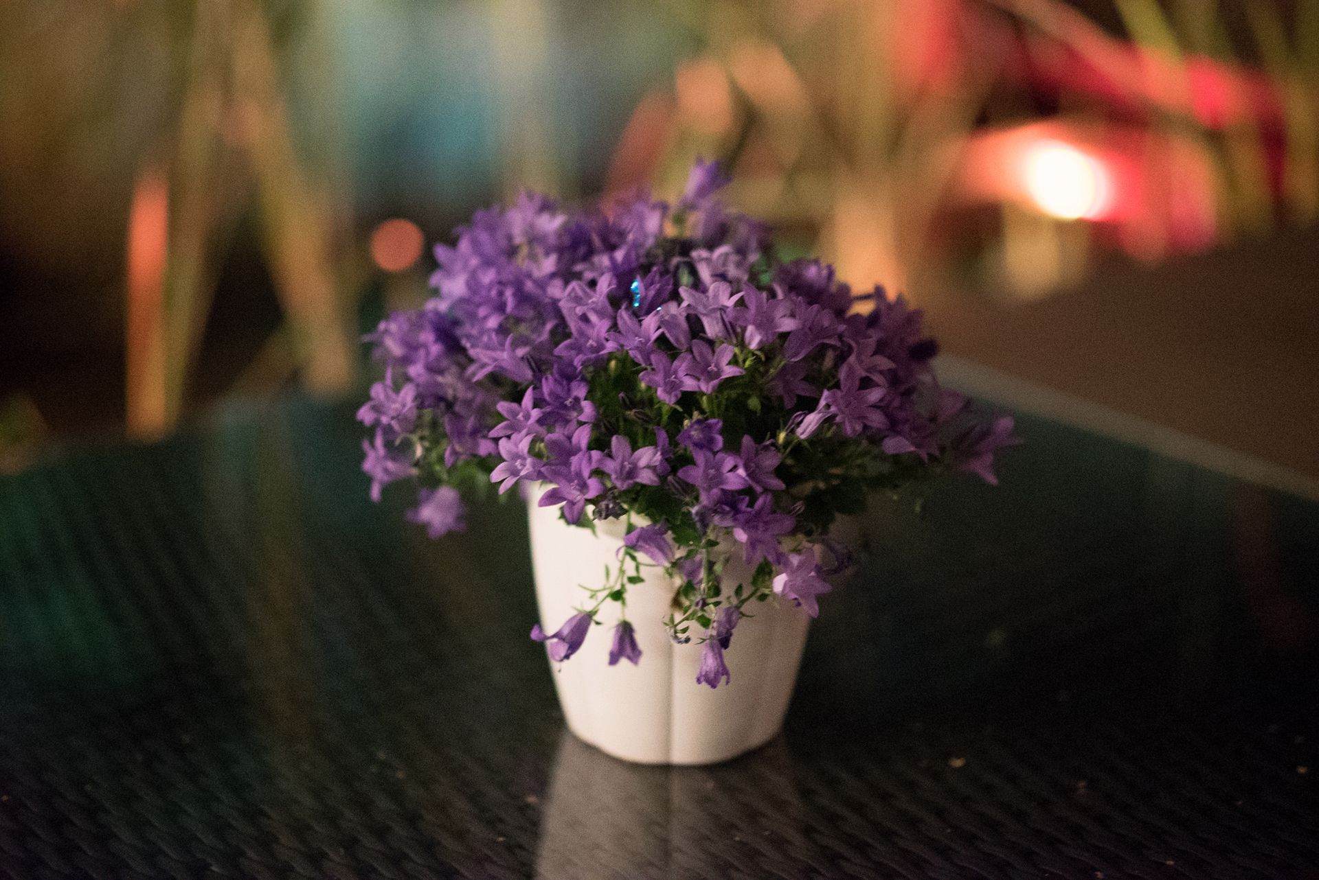Sony A7S - zdjęcia testowe do ISO 409 600 29