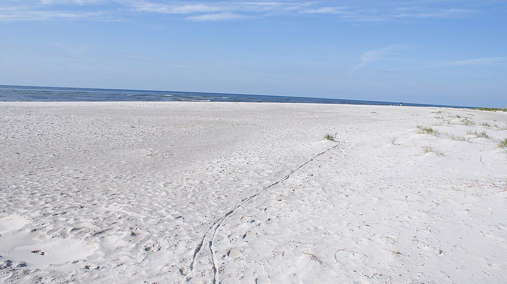 Dueodde Beach w Danii