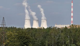 Sztuczna inteligencja miała być energetycznym potworem. Obawy są przesadzone?