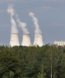 Sztuczna inteligencja miała być energetycznym potworem. Obawy są przesadzone?