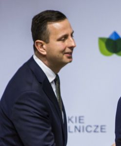 PSL przymila się do PiS, ale stawia warunki. Chce "pozbyć się szkodnictwa"