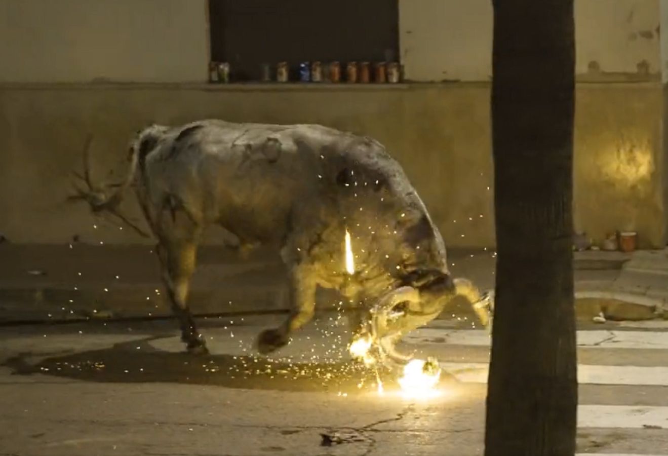 Święto okrucieństwa w Hiszpanii. Podpalono rogi byka