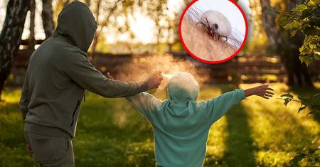 Tak odstraszysz kleszcze. Przygotuj napar i użyj butelki z atomizerem