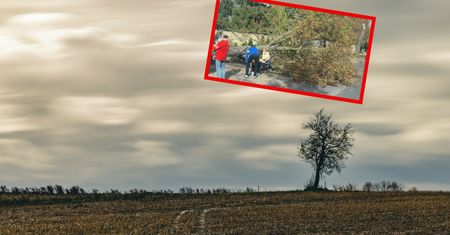 Silny wiatr w Wielkopolsce. Drzewo runęło na kobietę z dzieckiem