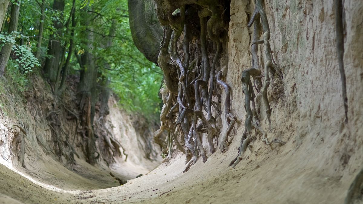 Wąwóz będzie zamknięty dla odwiedzających do odwołania 
