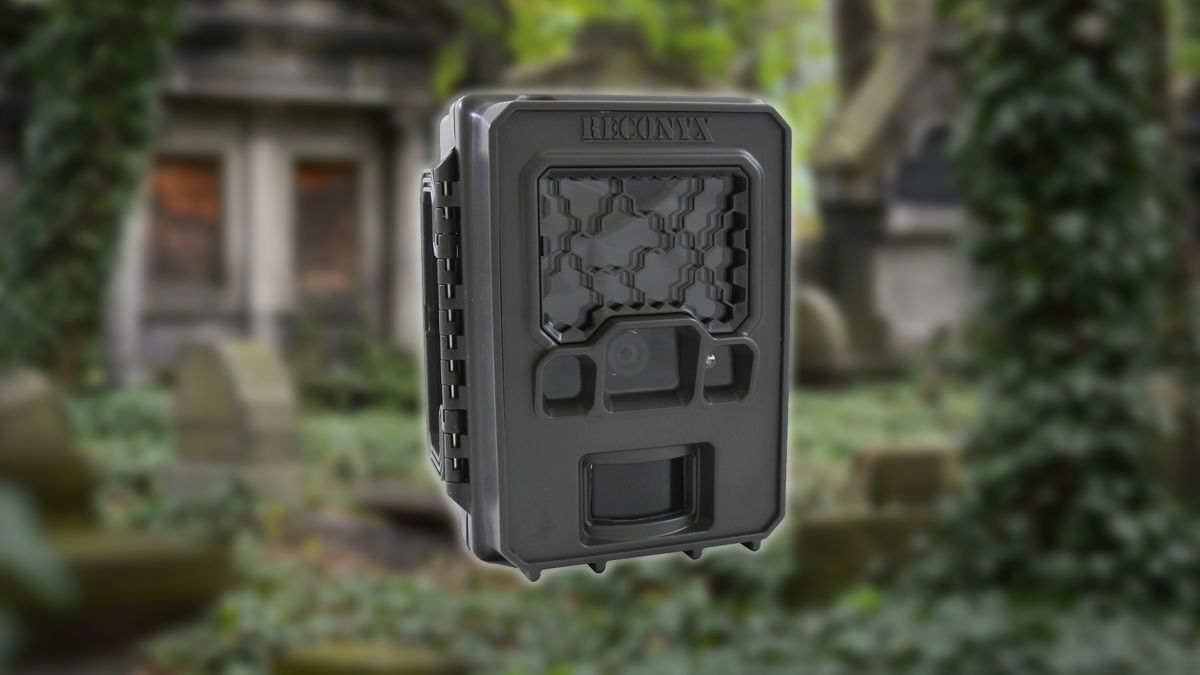 Tak wyglądała kamera skradziona z cmentarza.