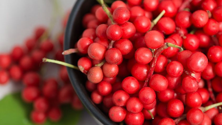W medycynie naturalnej stosuje się m.in. owoce cytryńca chińskiego