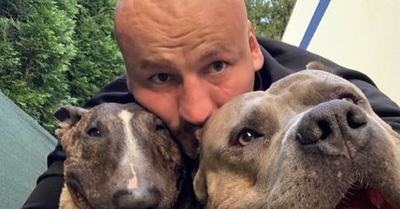 Artur Szpilka pokazał jak trenuje psa. Lepiej nie robić tego w domu