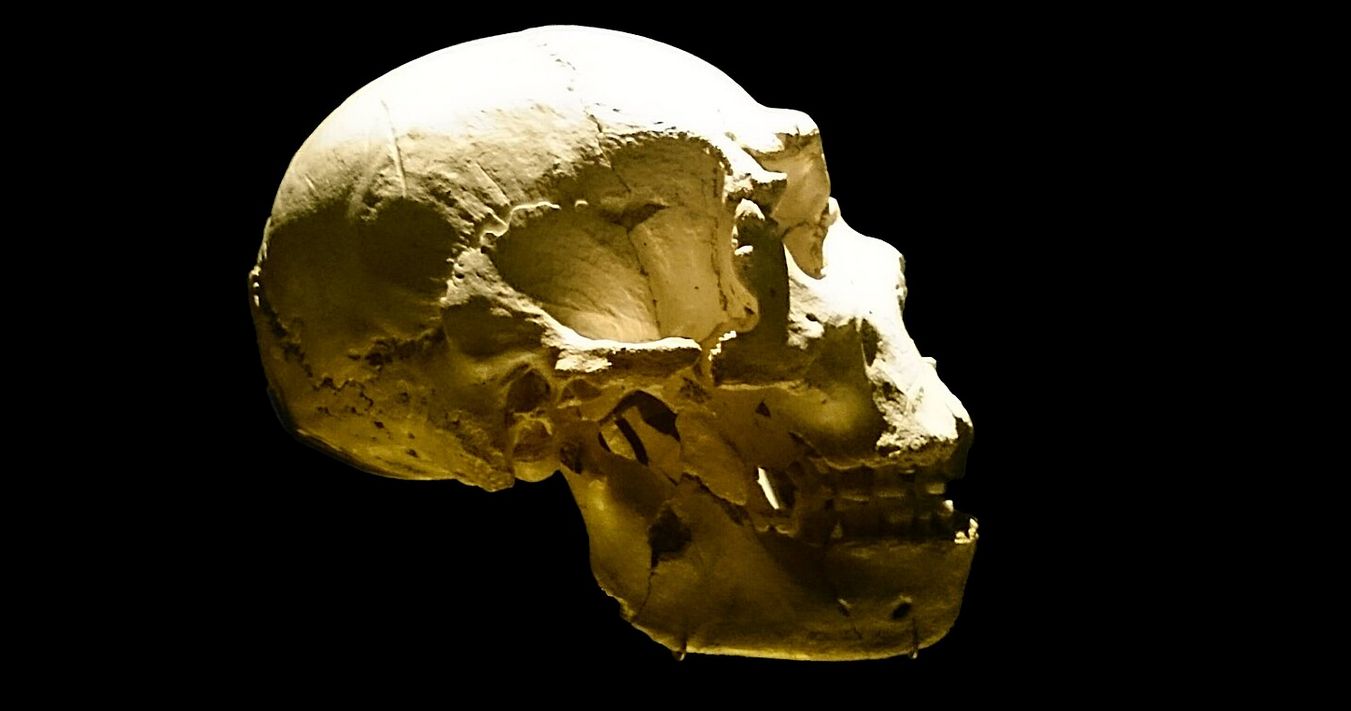 Trop wiedzie z Krymu na Syberię. Nowe DNA rysuje szlak prehistorii