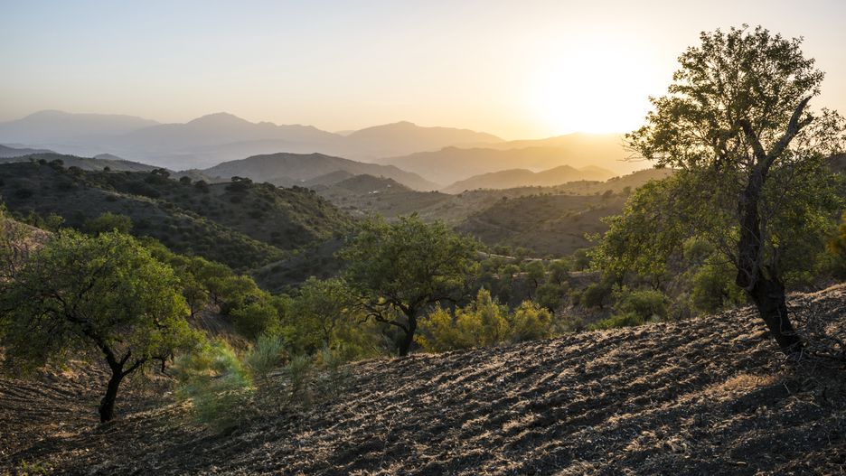 Polacy coraz częściej wybierają Andaluzję 