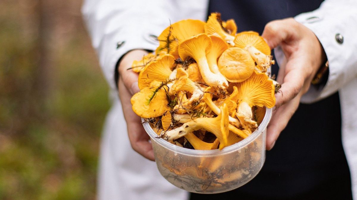 Jak szybko oczyścić kurki? Poznaj genialny trik