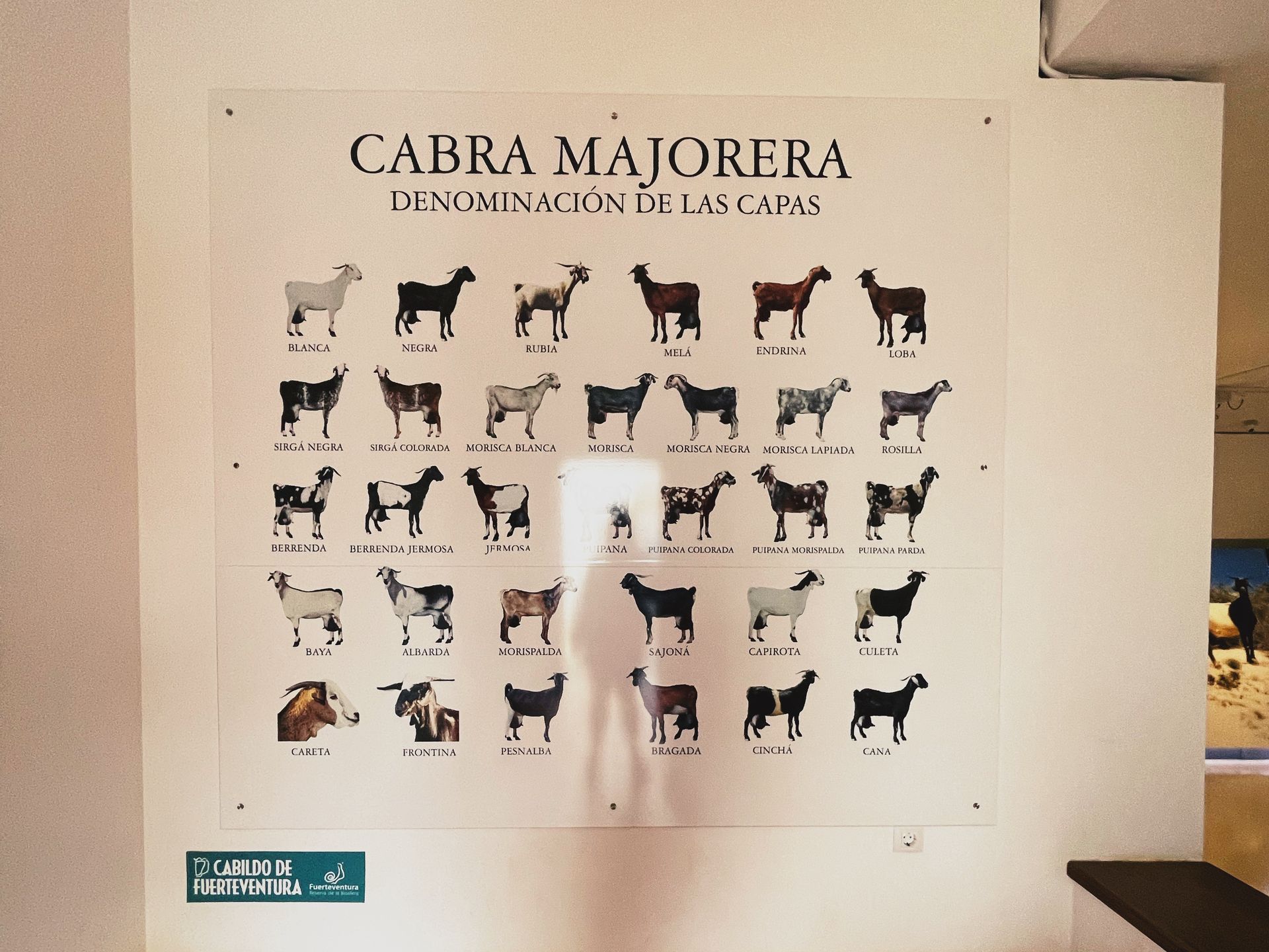 Museo del Queso Majorero 