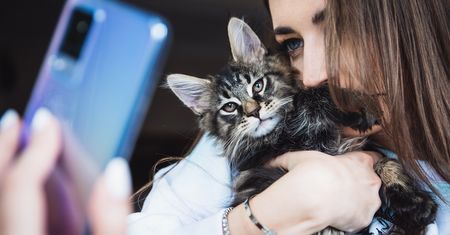 Od czego zależy udane zdjęcie selfie? Jak ważny jest tu przedni aparat telefonu?