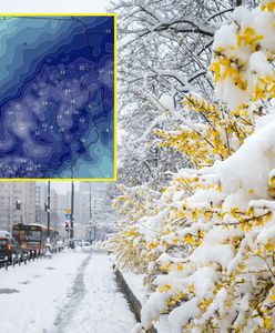 Potężna śnieżyca i -20 stopni. Nadchodzi atak zimy