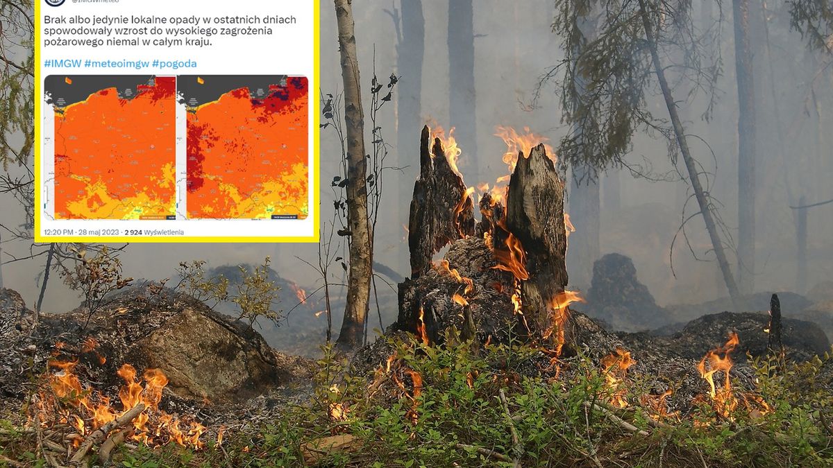 Wysokie zagrożenie pożarowe w polskich lasach 