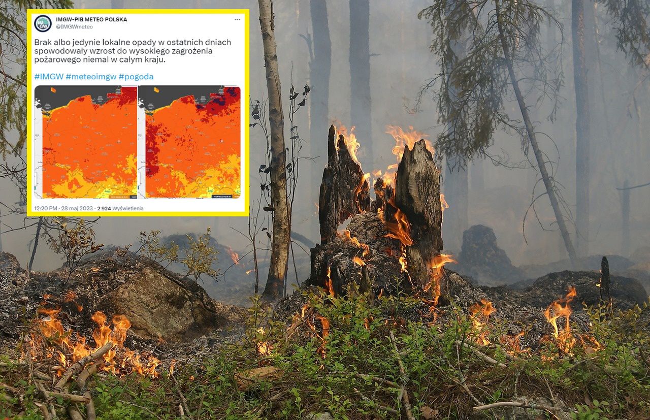 Leśnicy ostrzegają. Miejscami stopień zagrożenia jest "ekstremalny"