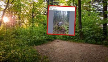 "Środek lasu". Ręce opadają do ziemi. Leśnicy pokazali w sieci