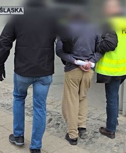 Gang Gruzinów rozbity. Sześciu zatrzymanych