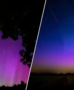 Zorza polarna i deszcz Perseidów. Zachwycający spektakl na niebie