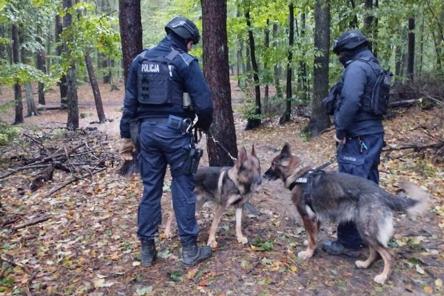 Las między Chwarznem a Karwinami. Policja wydała pilny komunikat