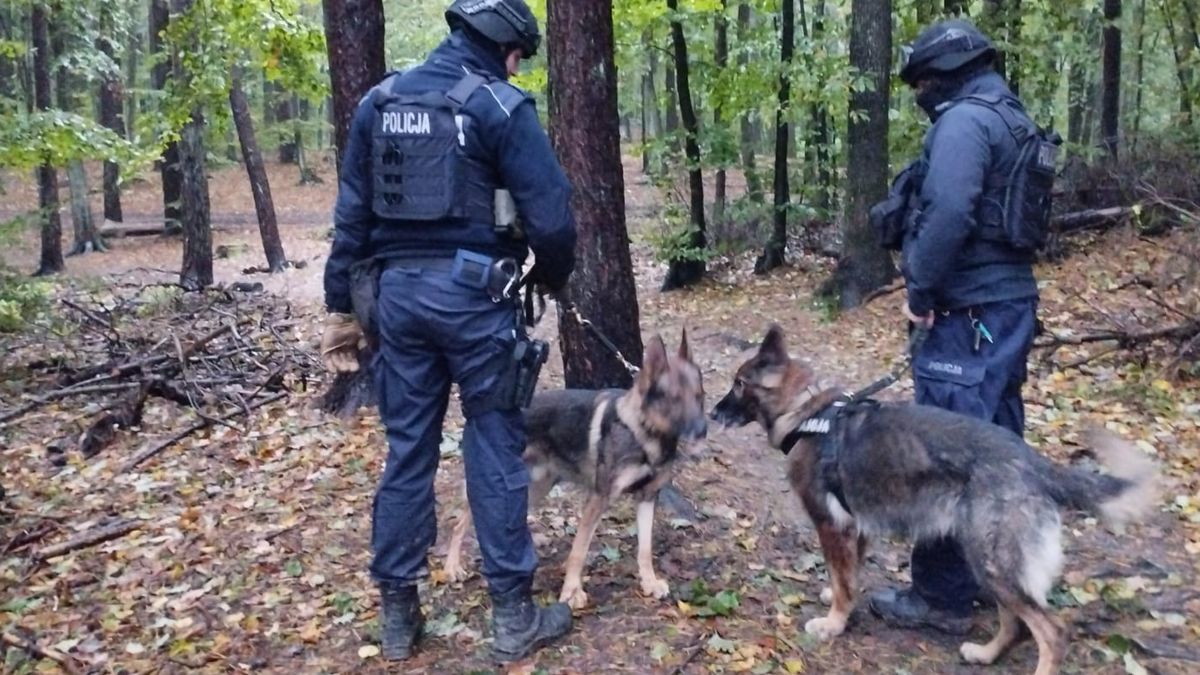 Akcja poszukiwawcza i pościg za Grzegorzem Borysem trwa, policja liczy na przełom 