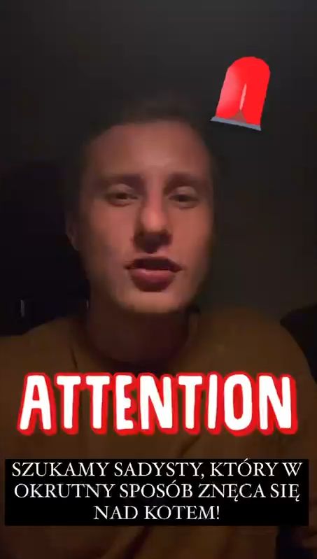 Poszukujemy SADYSTY, który w bestialski sposób znęca się nad swoim kotem! 