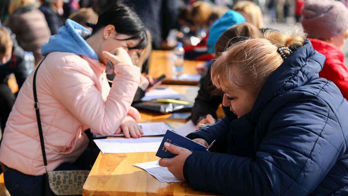 pesel, praca w Polsce, wojna w Ukrainie, praca dla Ukraińców, ogłoszenia o pracę