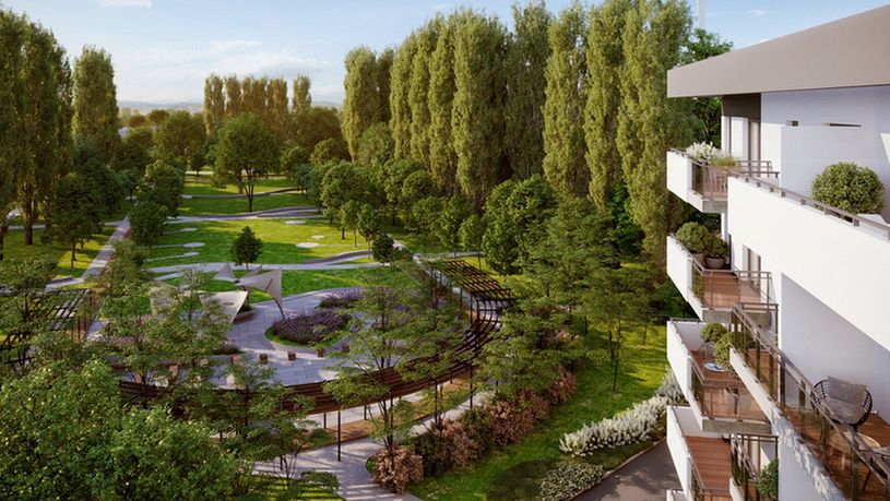Kępa Mieszczańska Park Mieszczański park centralny