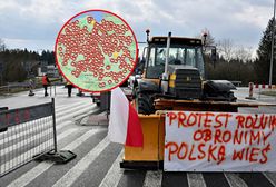 Prawie 600 protestów. Rolnicy wyjdą na ulice w całej Polsce