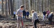 Lubartów: "Posadź swoje drzewo". Nadleśnictwo zaprasza do wspólnego sadzenia lasu
