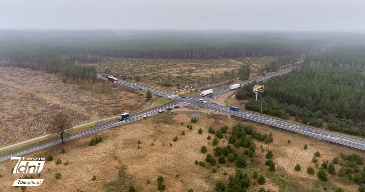 Takiej wycinki lasów jeszcze u nas nie było