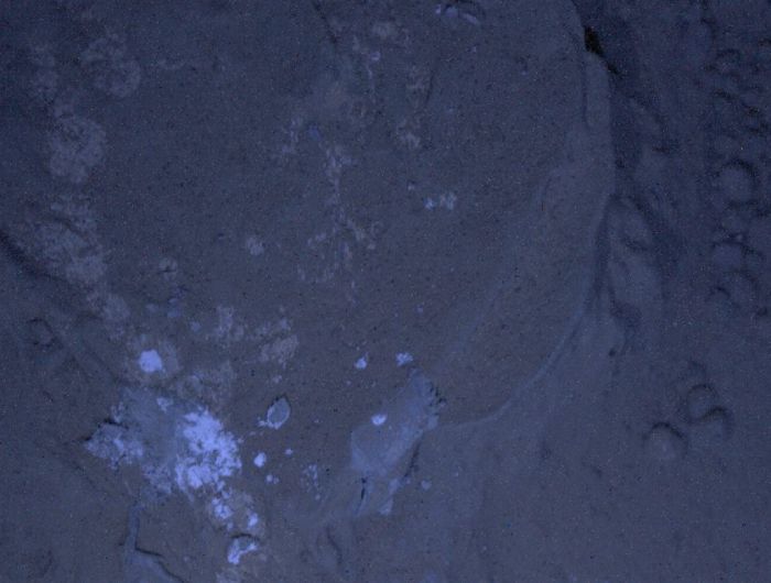 Pierwsze nocne zdjęcia Mars Rover Curiosity 2