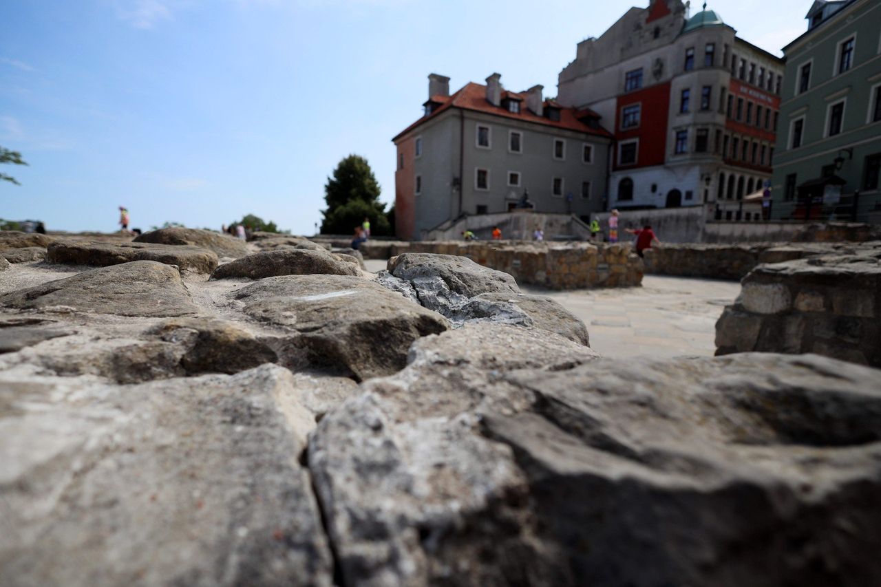 Lublin: Był kościół, zostały fundamenty, a teraz wyrośnie dąb. Zmiany na staromiejskim placu