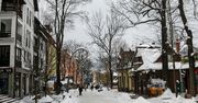 Zakopane. Pasażer uderzył kontrolera w twarz. "I dobrze zrobił"
