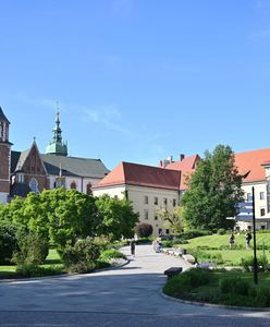 Mają cofnąć podwyżki. Minister reaguje na skandaliczne ceny