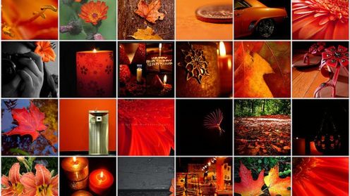 Orange - nowa i pełna swobody oferta dla firm 1