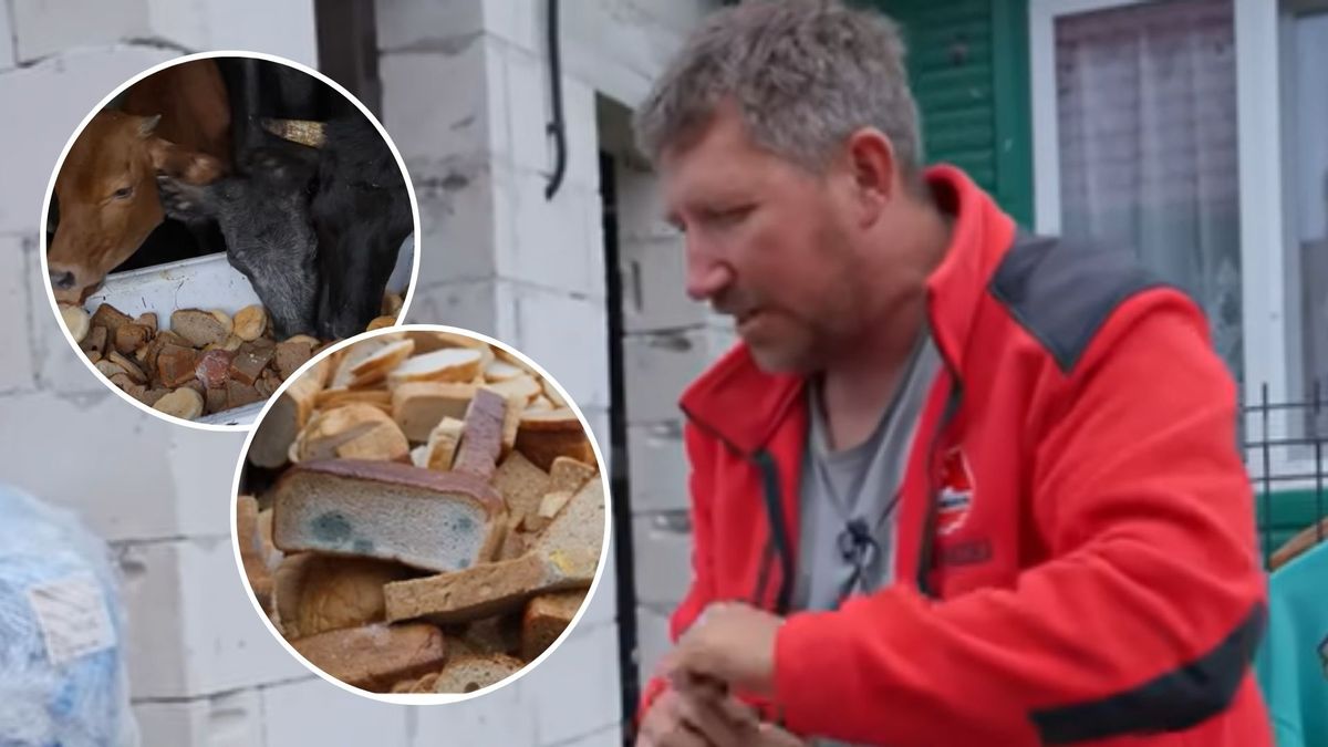 Andrzej z Plutycz karmi krowy spleśniałym chlebem