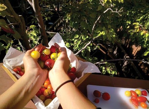 Trzęsienie ziemi w Google'u. Odszedł Marc Levoy, czyli człowiek odpowiedzialny za aparaty Pixeli 2